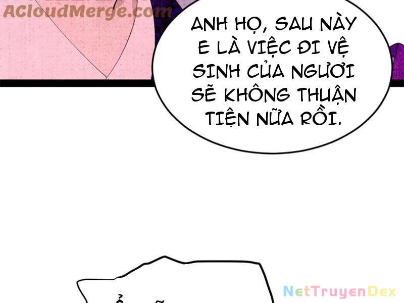 Chàng Rể Mạnh Nhất Lịch Sử Chapter 260 - Trang 4