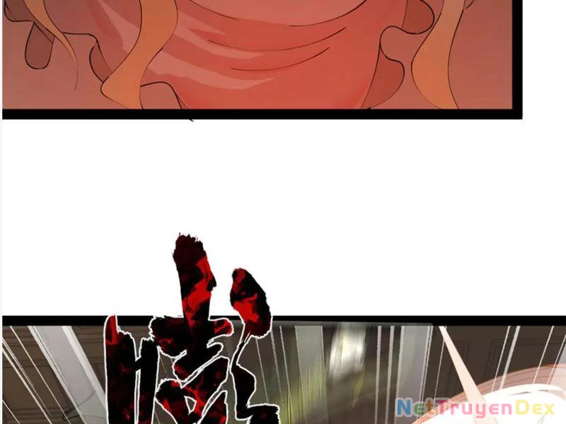 Chàng Rể Mạnh Nhất Lịch Sử Chapter 260 - Trang 4