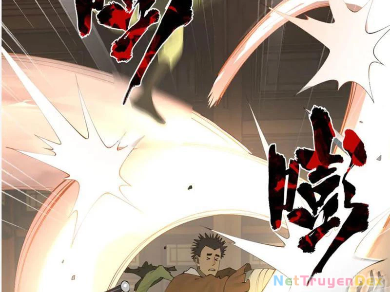 Chàng Rể Mạnh Nhất Lịch Sử Chapter 260 - Trang 4