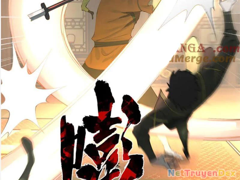 Chàng Rể Mạnh Nhất Lịch Sử Chapter 260 - Trang 4