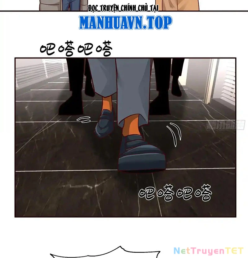 Ta Không Muốn Trùng Sinh Đâu Chapter 404 - Trang 4