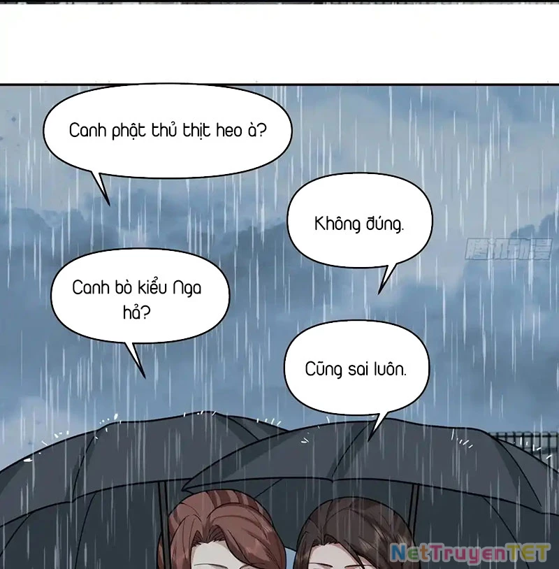 Ta Không Muốn Trùng Sinh Đâu Chapter 405 - Trang 4