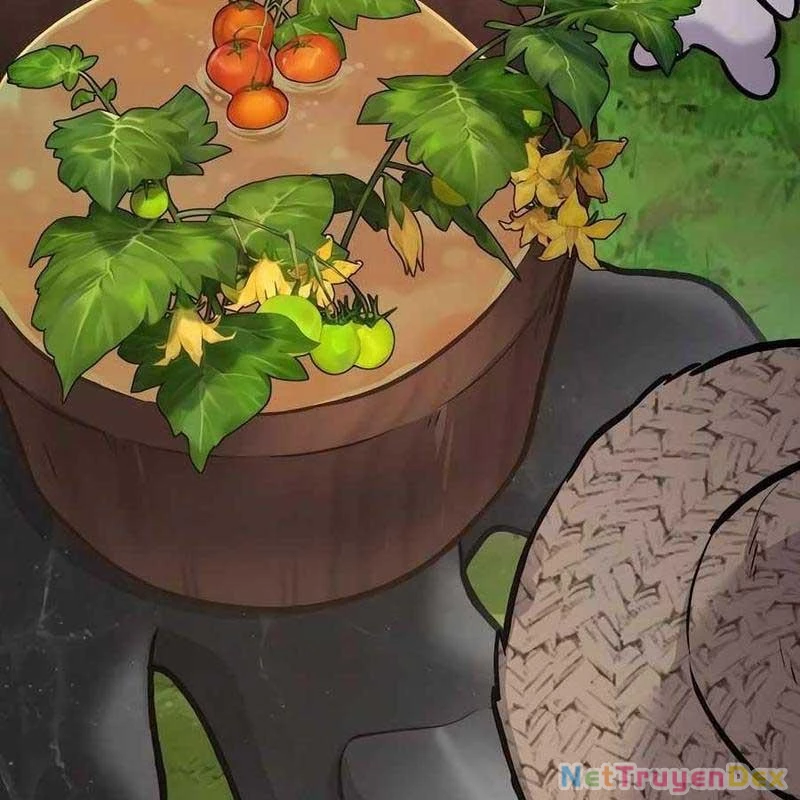 Làm Nông Dân Trong Tòa Tháp Thử Thách Chapter 92 - Trang 4