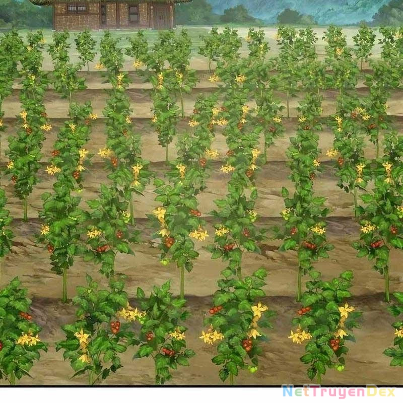 Làm Nông Dân Trong Tòa Tháp Thử Thách Chapter 92 - Trang 4