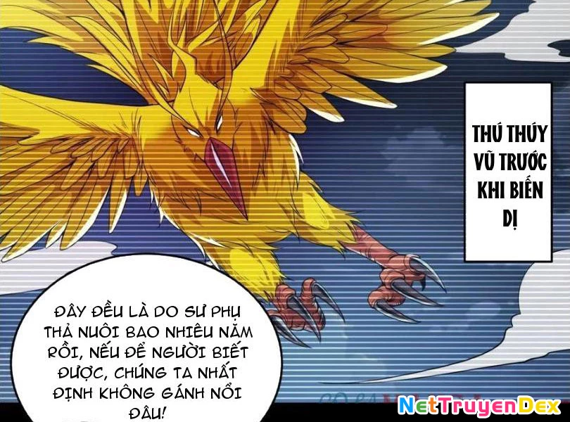 Ta Nhặt Đồ Bỏ Ở Mạt Thế Chapter 30 - Trang 2