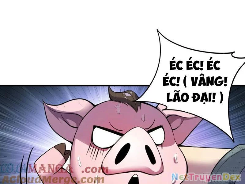 Ta Nhặt Đồ Bỏ Ở Mạt Thế Chapter 31 - Trang 2