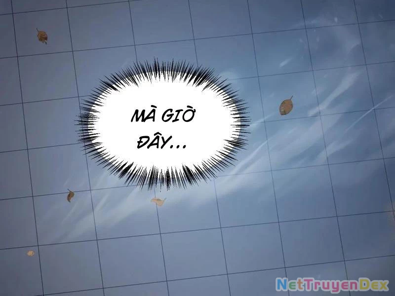 Ta Nhặt Đồ Bỏ Ở Mạt Thế Chapter 31 - Trang 2