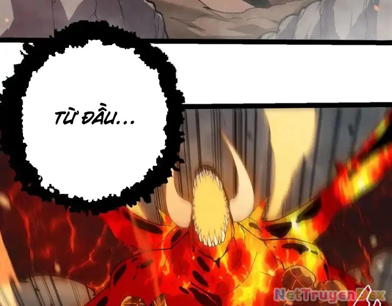 Chuyển Sinh Thành Liễu Đột Biến Chapter 319 - Trang 4