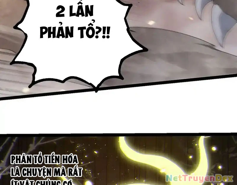 Chuyển Sinh Thành Liễu Đột Biến Chapter 319 - Trang 4