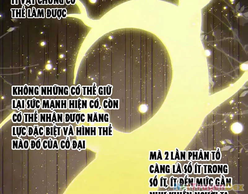 Chuyển Sinh Thành Liễu Đột Biến Chapter 319 - Trang 4