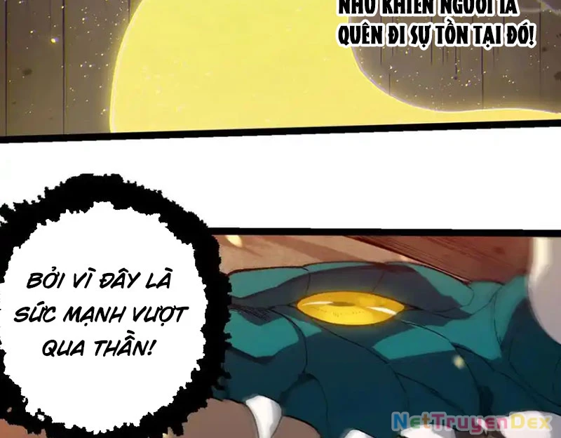 Chuyển Sinh Thành Liễu Đột Biến Chapter 319 - Trang 4