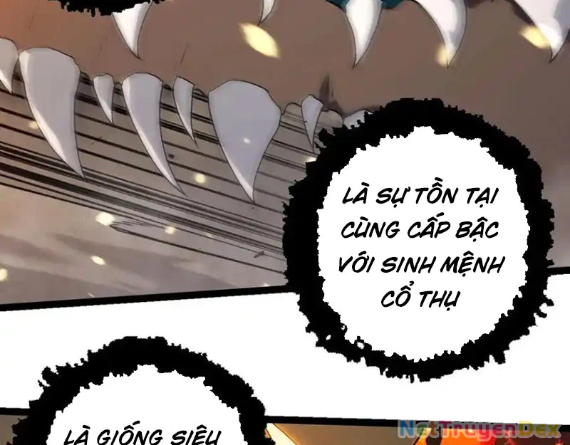 Chuyển Sinh Thành Liễu Đột Biến Chapter 319 - Trang 4