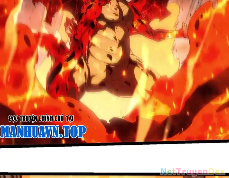 Chuyển Sinh Thành Liễu Đột Biến Chapter 319 - Trang 4