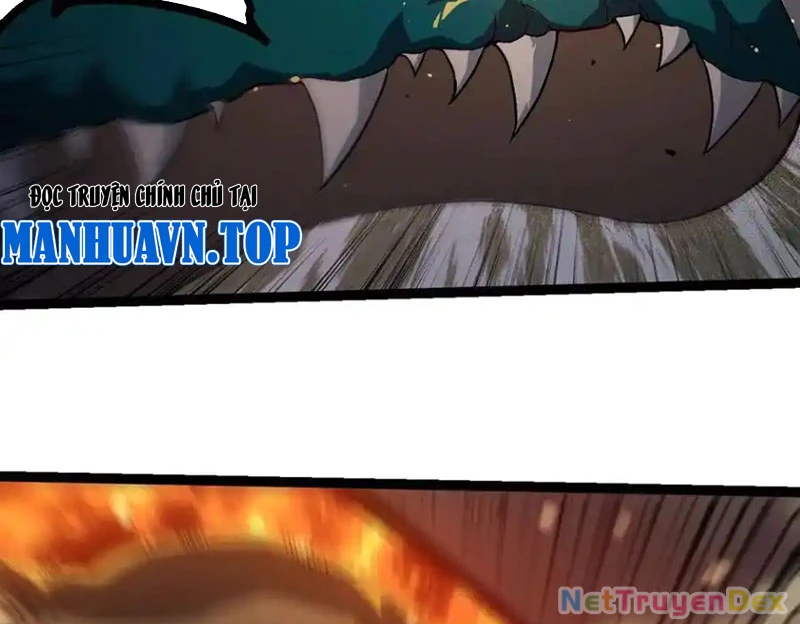 Chuyển Sinh Thành Liễu Đột Biến Chapter 319 - Trang 4