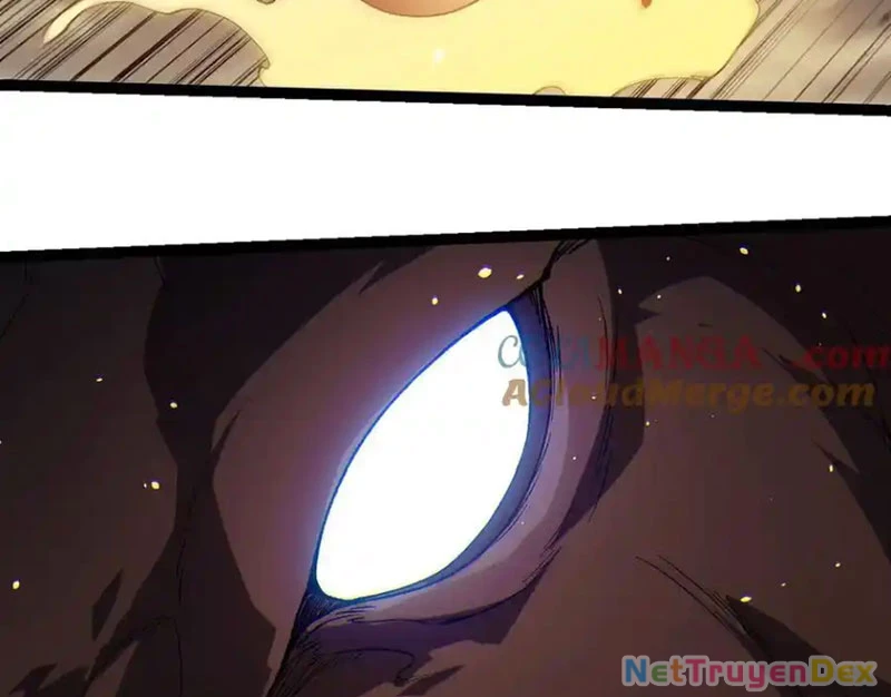 Chuyển Sinh Thành Liễu Đột Biến Chapter 319 - Trang 4