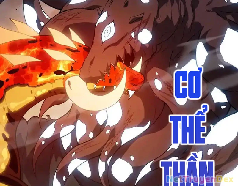 Chuyển Sinh Thành Liễu Đột Biến Chapter 319 - Trang 4