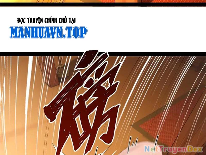 Chàng Rể Mạnh Nhất Lịch Sử Chapter 261 - Trang 4