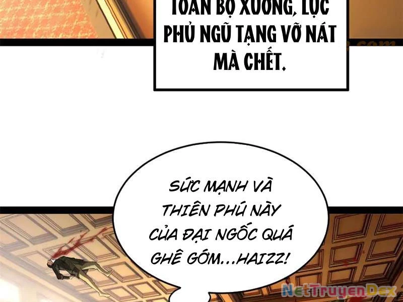 Chàng Rể Mạnh Nhất Lịch Sử Chapter 261 - Trang 4