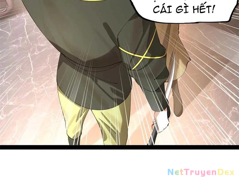 Chàng Rể Mạnh Nhất Lịch Sử Chapter 261 - Trang 4