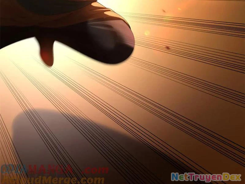 Chàng Rể Mạnh Nhất Lịch Sử Chapter 261 - Trang 4