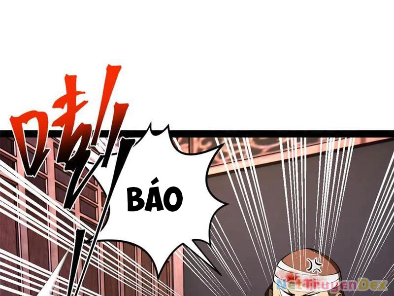 Chàng Rể Mạnh Nhất Lịch Sử Chapter 261 - Trang 4