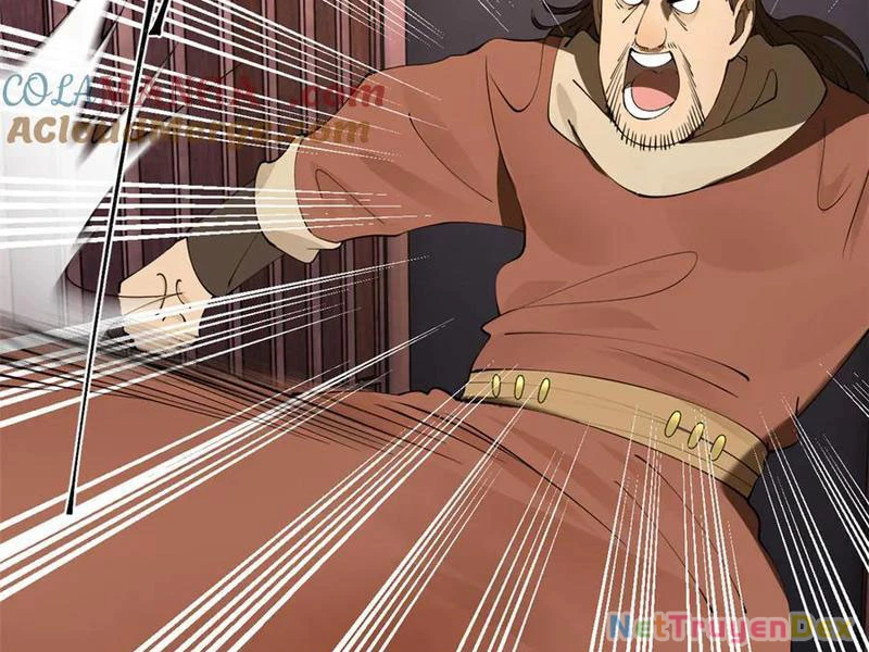 Chàng Rể Mạnh Nhất Lịch Sử Chapter 261 - Trang 4