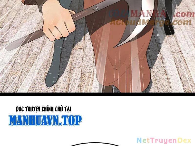 Chàng Rể Mạnh Nhất Lịch Sử Chapter 261 - Trang 4