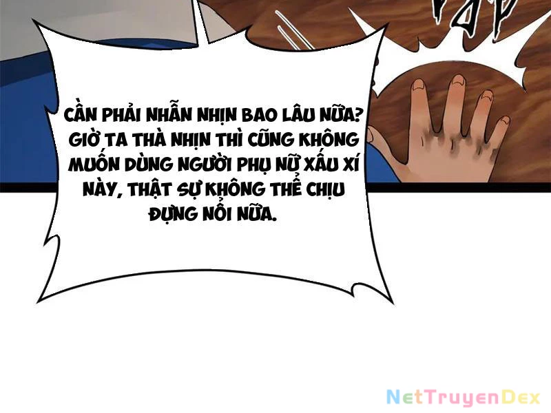 Chàng Rể Mạnh Nhất Lịch Sử Chapter 261 - Trang 4