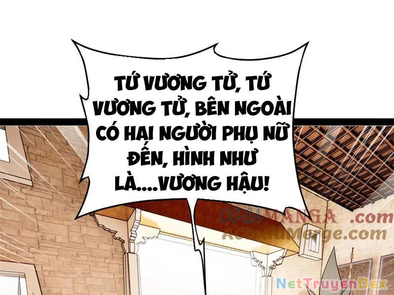 Chàng Rể Mạnh Nhất Lịch Sử Chapter 261 - Trang 4