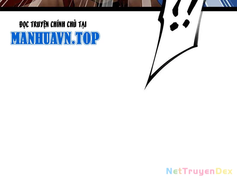 Chàng Rể Mạnh Nhất Lịch Sử Chapter 261 - Trang 4