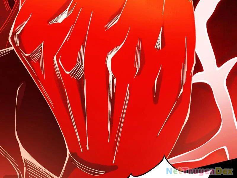 Gặp Mạnh Thì Mạnh, Ta Tu Vi Vô Thượng Hạn Chapter 9 - Trang 3