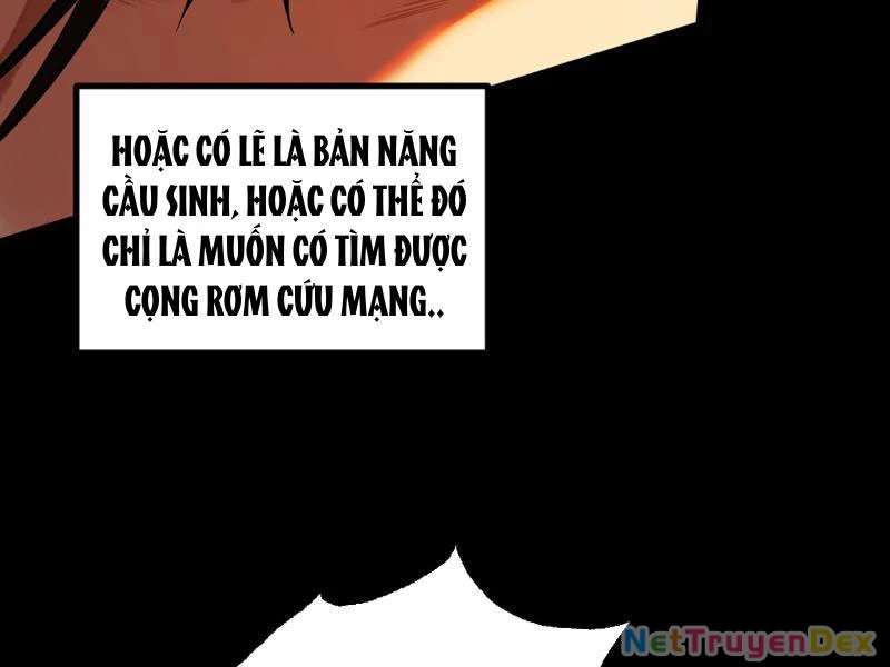 Gặp Mạnh Thì Mạnh, Ta Tu Vi Vô Thượng Hạn Chapter 9 - Trang 3