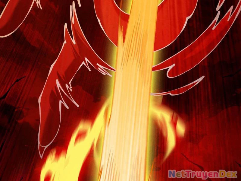 Gặp Mạnh Thì Mạnh, Ta Tu Vi Vô Thượng Hạn Chapter 10 - Trang 3