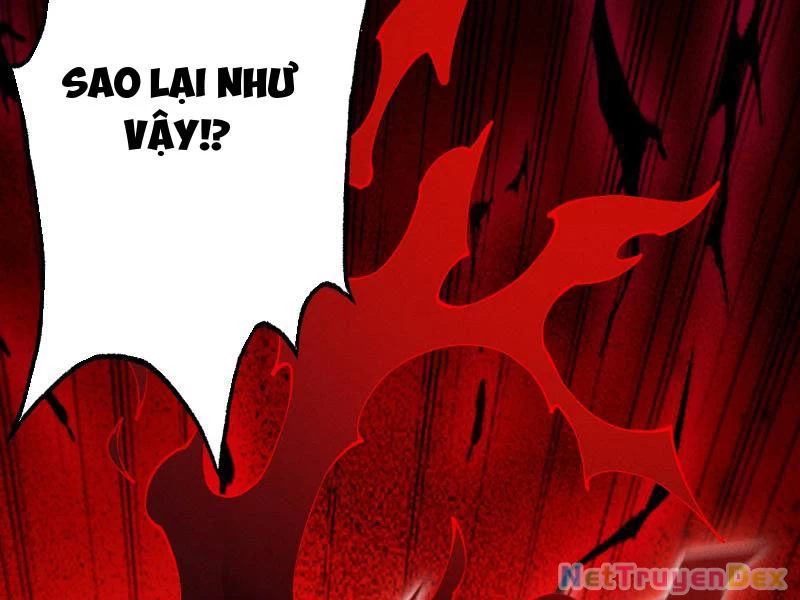 Gặp Mạnh Thì Mạnh, Ta Tu Vi Vô Thượng Hạn Chapter 10 - Trang 3