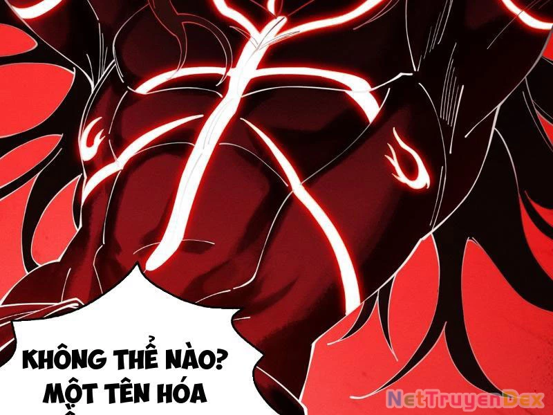 Gặp Mạnh Thì Mạnh, Ta Tu Vi Vô Thượng Hạn Chapter 10 - Trang 3