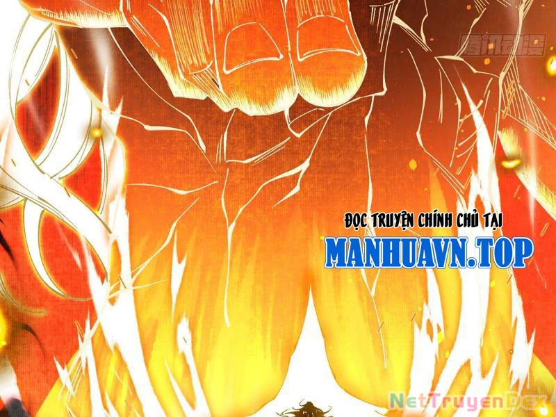 Gặp Mạnh Thì Mạnh, Ta Tu Vi Vô Thượng Hạn Chapter 10 - Trang 3