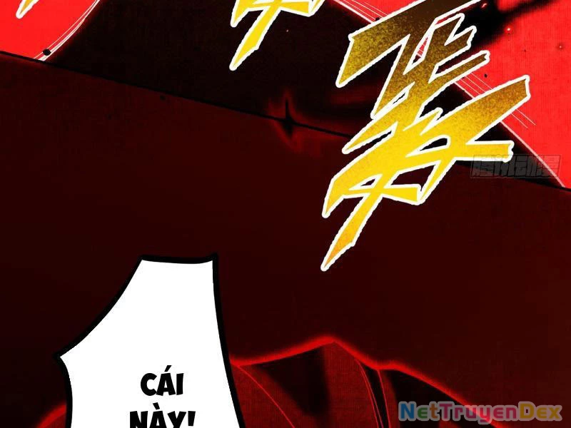 Gặp Mạnh Thì Mạnh, Ta Tu Vi Vô Thượng Hạn Chapter 10 - Trang 3