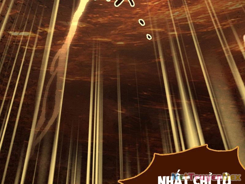 Gặp Mạnh Thì Mạnh, Ta Tu Vi Vô Thượng Hạn Chapter 10 - Trang 3