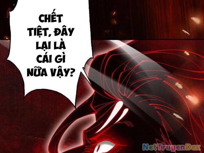 Gặp Mạnh Thì Mạnh, Ta Tu Vi Vô Thượng Hạn Chapter 10 - Trang 3