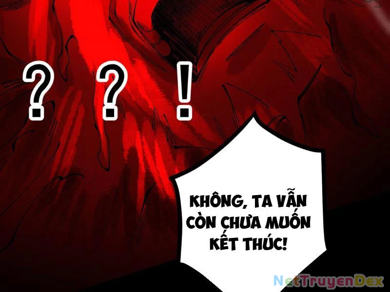Gặp Mạnh Thì Mạnh, Ta Tu Vi Vô Thượng Hạn Chapter 10 - Trang 3
