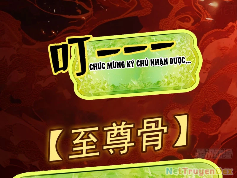 Gặp Mạnh Thì Mạnh, Ta Tu Vi Vô Thượng Hạn Chapter 10 - Trang 3