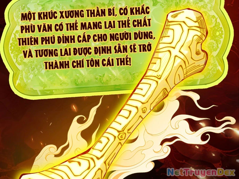 Gặp Mạnh Thì Mạnh, Ta Tu Vi Vô Thượng Hạn Chapter 10 - Trang 3