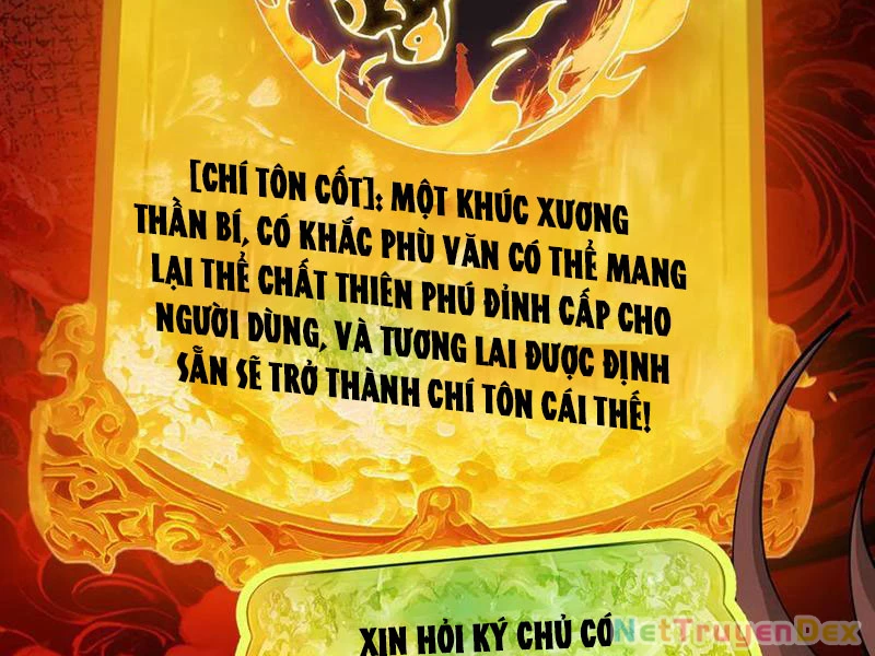Gặp Mạnh Thì Mạnh, Ta Tu Vi Vô Thượng Hạn Chapter 11 - Trang 3
