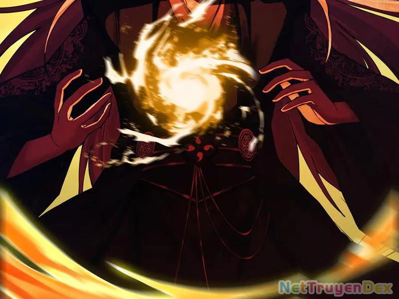 Gặp Mạnh Thì Mạnh, Ta Tu Vi Vô Thượng Hạn Chapter 11 - Trang 3