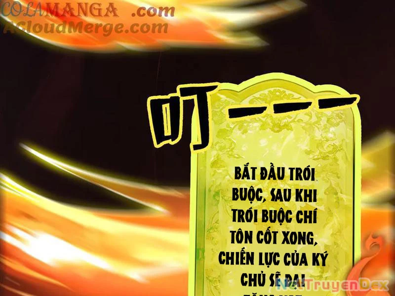 Gặp Mạnh Thì Mạnh, Ta Tu Vi Vô Thượng Hạn Chapter 11 - Trang 3