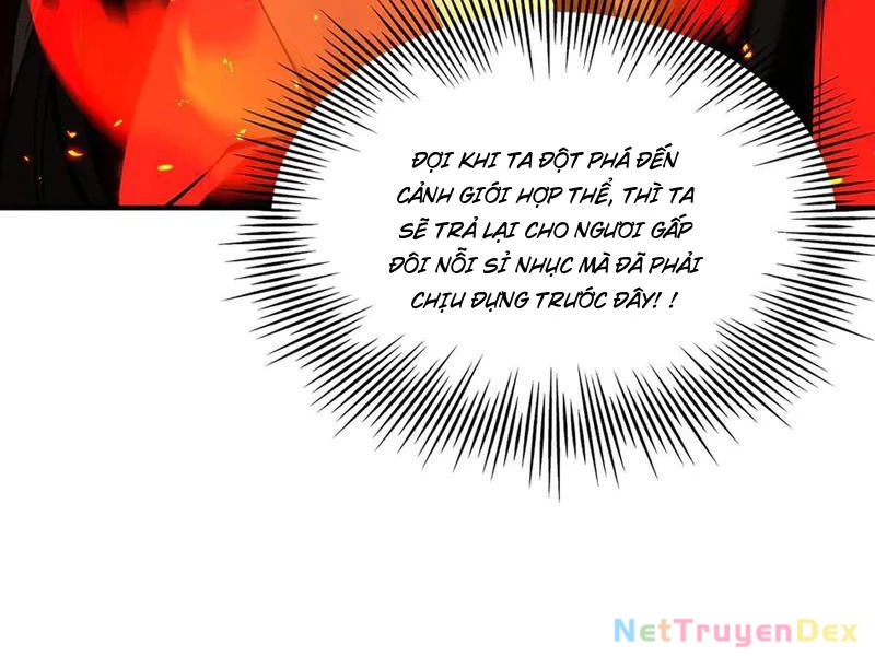 Gặp Mạnh Thì Mạnh, Ta Tu Vi Vô Thượng Hạn Chapter 11 - Trang 3