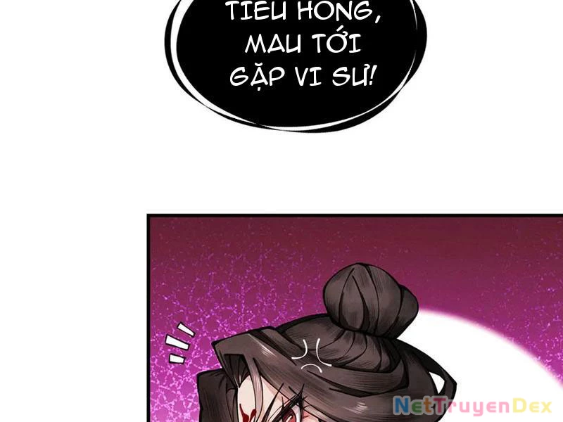 Gặp Mạnh Thì Mạnh, Ta Tu Vi Vô Thượng Hạn Chapter 11 - Trang 3