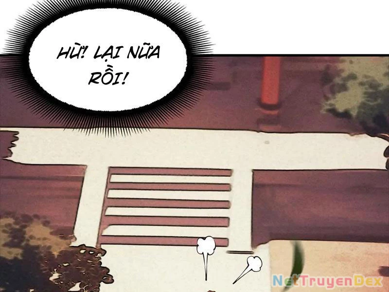 Gặp Mạnh Thì Mạnh, Ta Tu Vi Vô Thượng Hạn Chapter 11 - Trang 3