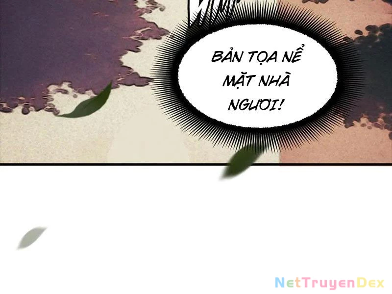 Gặp Mạnh Thì Mạnh, Ta Tu Vi Vô Thượng Hạn Chapter 11 - Trang 3