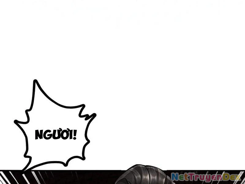 Gặp Mạnh Thì Mạnh, Ta Tu Vi Vô Thượng Hạn Chapter 11 - Trang 3